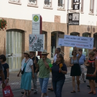 Gelnhausen-20140718 (26).jpg
